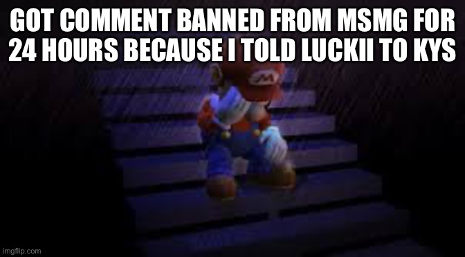 Why | GOT COMMENT BANNED FROM MSMG FOR 24 HOURS BECAUSE I TOLD LUCKII TO KYS | image tagged in sad mario | made w/ Imgflip meme maker