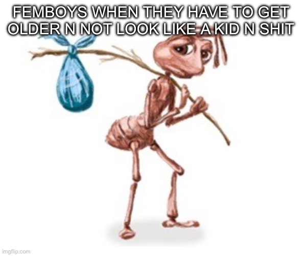 Sad Ant with Bindle | FEMBOYS WHEN THEY HAVE TO GET OLDER N NOT LOOK LIKE A KID N SHIT | image tagged in sad ant with bindle | made w/ Imgflip meme maker