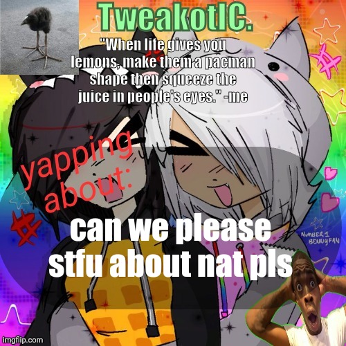 smores 14th announcement temp | can we please stfu about nat pls | image tagged in smores 14th announcement temp | made w/ Imgflip meme maker