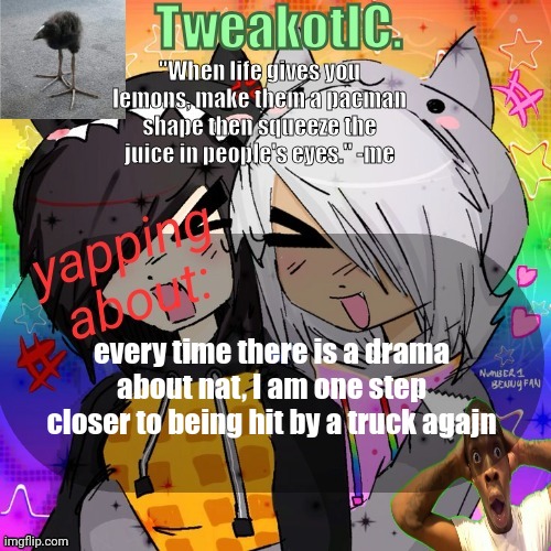 smores 14th announcement temp | every time there is a drama about nat, I am one step closer to being hit by a truck agajn | image tagged in smores 14th announcement temp | made w/ Imgflip meme maker