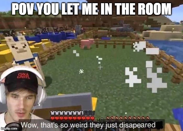 Wow that's so weird they just disappeared | POV YOU LET ME IN THE ROOM | image tagged in wow that's so weird they just disappeared | made w/ Imgflip meme maker