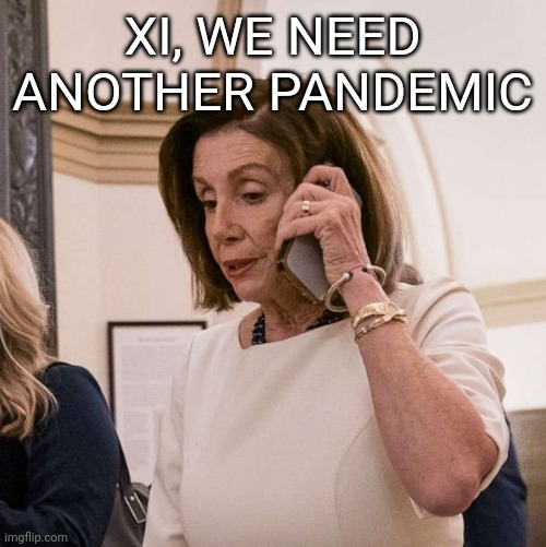 Pelsi | XI, WE NEED ANOTHER PANDEMIC | image tagged in pelosi phone | made w/ Imgflip meme maker