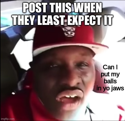 POST THIS WHEN THEY LEAST EXPECT IT | image tagged in can i put my balls in yo jaws | made w/ Imgflip meme maker