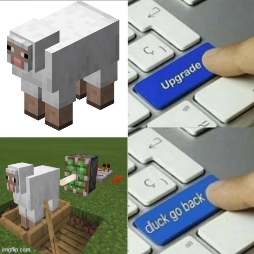 why? why must the minecraft community be so nasty? | d | image tagged in upgrade go back,memes,relatable,minecraft,sheep,i said go back | made w/ Imgflip meme maker