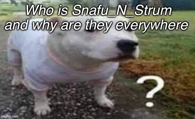 ? | Who is Snafu_N_Strum and why are they everywhere | image tagged in dog question mark | made w/ Imgflip meme maker