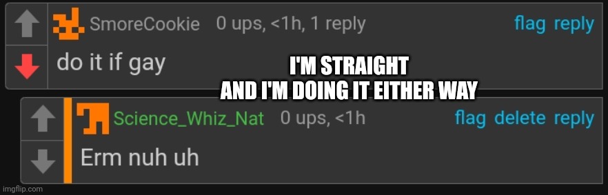 I'M STRAIGHT
AND I'M DOING IT EITHER WAY | made w/ Imgflip meme maker