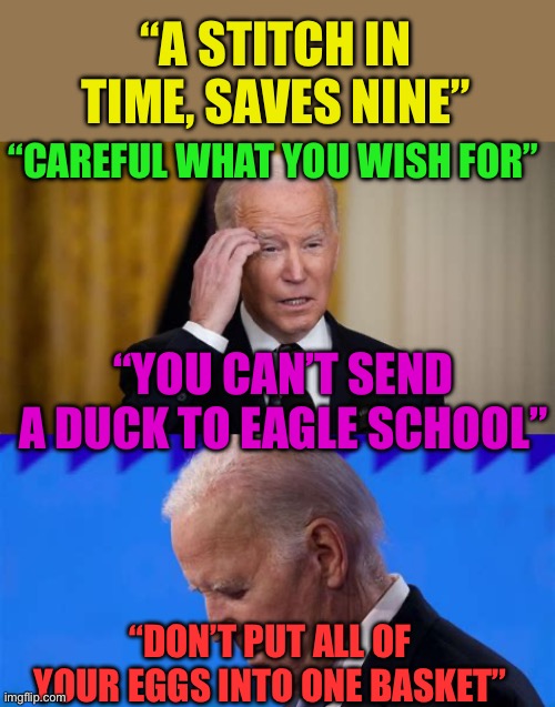 Life lessons Democrat’s should have followed | “A STITCH IN TIME, SAVES NINE”; “CAREFUL WHAT YOU WISH FOR”; “YOU CAN’T SEND A DUCK TO EAGLE SCHOOL”; “DON’T PUT ALL OF YOUR EGGS INTO ONE BASKET” | image tagged in democrats president,biden,democrats,presidential debate,incompetence | made w/ Imgflip meme maker