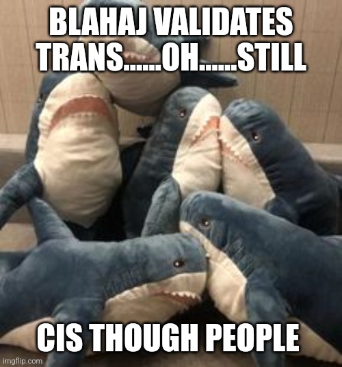 Blahaj memes | BLAHAJ VALIDATES TRANS......OH......STILL; CIS THOUGH PEOPLE | image tagged in transgender,shark attack | made w/ Imgflip meme maker