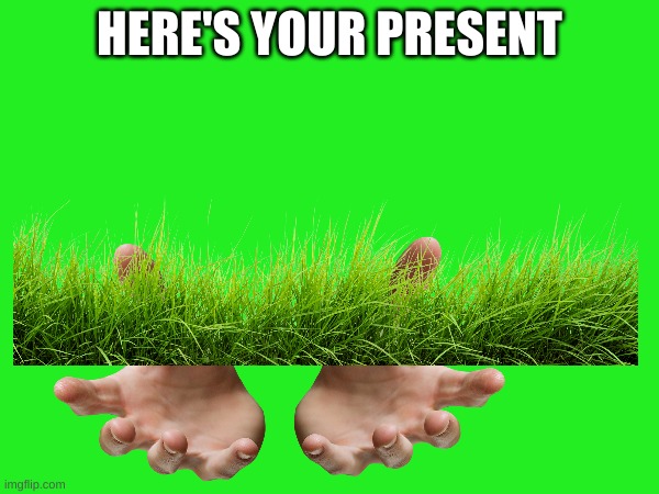 touch grass or you'll worst nightmare will appear | HERE'S YOUR PRESENT | image tagged in memes,present for you | made w/ Imgflip meme maker