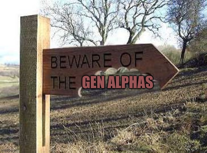 They be lurking around | GEN ALPHAS | image tagged in beware of the blank | made w/ Imgflip meme maker