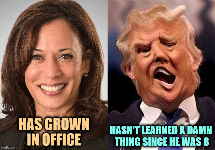 Kamala Harris young and sane, Donald Trump old and demented | HASN'T LEARNED A DAMN 

THING SINCE HE WAS 8; HAS GROWN IN OFFICE | image tagged in kamala harris sane donald trump crazy on acid,harris,sane,trump,crazy,acid | made w/ Imgflip meme maker