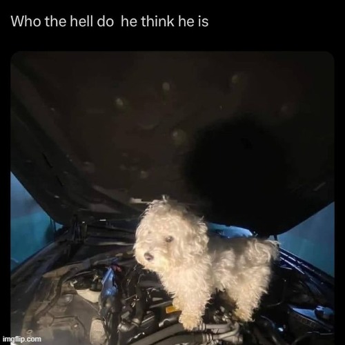 he is the coolant | made w/ Imgflip meme maker