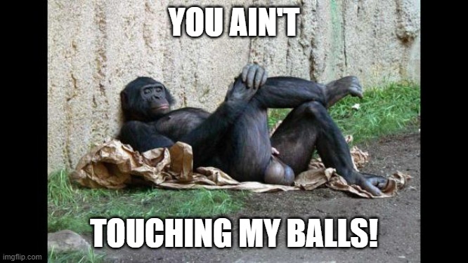 Big balls gorilla | YOU AIN'T TOUCHING MY BALLS! | image tagged in big balls gorilla | made w/ Imgflip meme maker