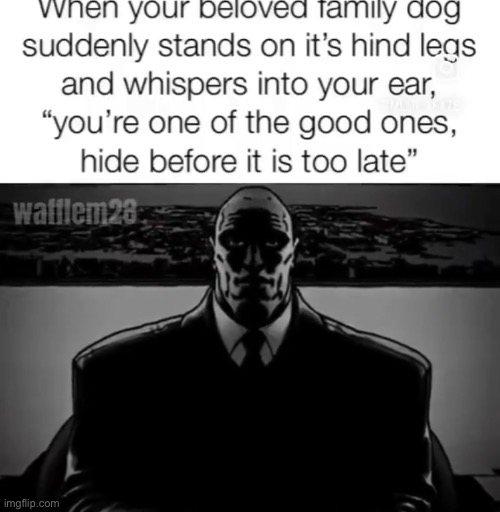 made w/ Imgflip meme maker