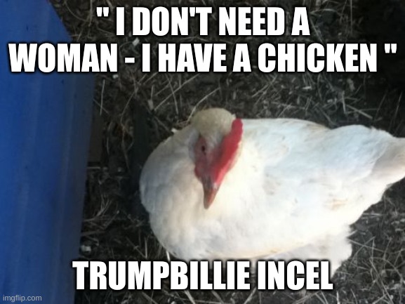 incel | " I DON'T NEED A WOMAN - I HAVE A CHICKEN "; TRUMPBILLIE INCEL | image tagged in memes,angry chicken boss | made w/ Imgflip meme maker