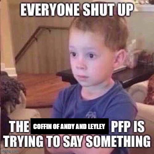 The pfp is trying to say something | COFFIN OF ANDY AND LEYLEY | image tagged in the pfp is trying to say something | made w/ Imgflip meme maker
