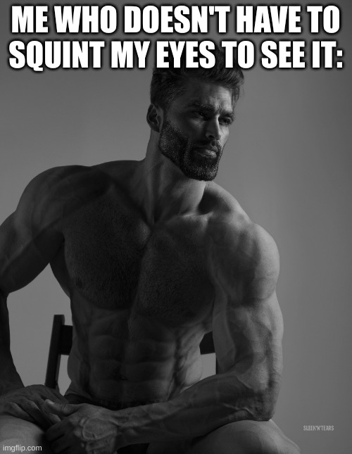 Giga Chad | ME WHO DOESN'T HAVE TO SQUINT MY EYES TO SEE IT: | image tagged in giga chad | made w/ Imgflip meme maker