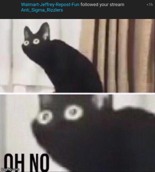 image tagged in oh no cat | made w/ Imgflip meme maker