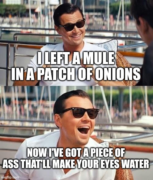 Leonardo Dicaprio Wolf Of Wall Street | I LEFT A MULE IN A PATCH OF ONIONS; NOW I'VE GOT A PIECE OF ASS THAT'LL MAKE YOUR EYES WATER | image tagged in memes,leonardo dicaprio wolf of wall street | made w/ Imgflip meme maker