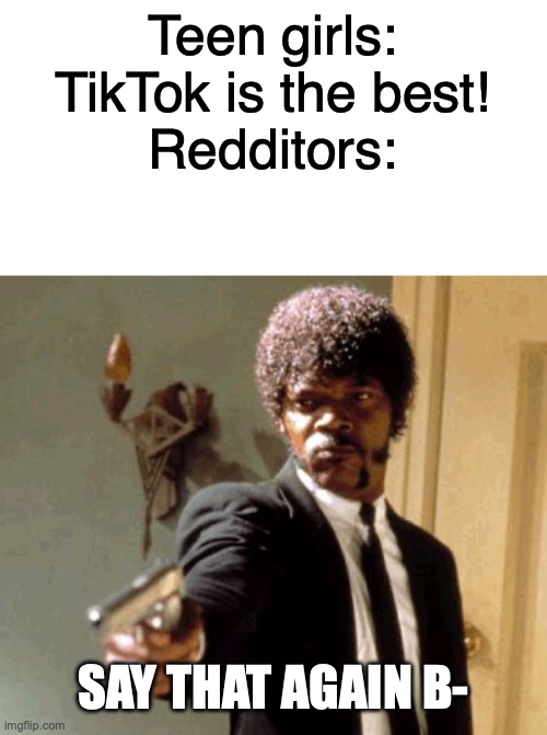 When a Redditor hears someone say "TikTok is the best!" | Teen girls: TikTok is the best!
Redditors:; SAY THAT AGAIN B- | image tagged in memes,say that again i dare you | made w/ Imgflip meme maker