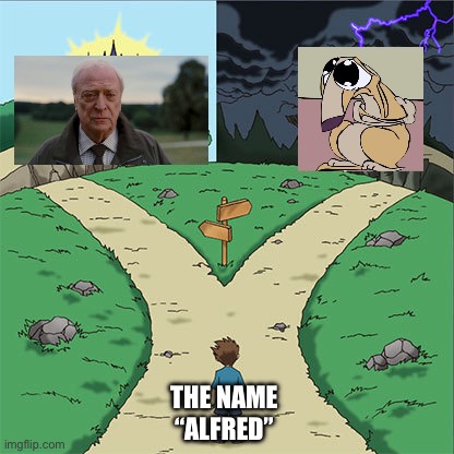 One Alfred is known to be Batman’s butler and the other is a psychopathic Dog made by someone who went batshit insane | THE NAME “ALFRED” | image tagged in two paths,alfred | made w/ Imgflip meme maker