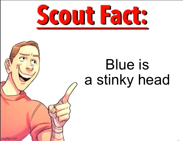 Scout Fact | Blue is a stinky head | image tagged in scout fact | made w/ Imgflip meme maker