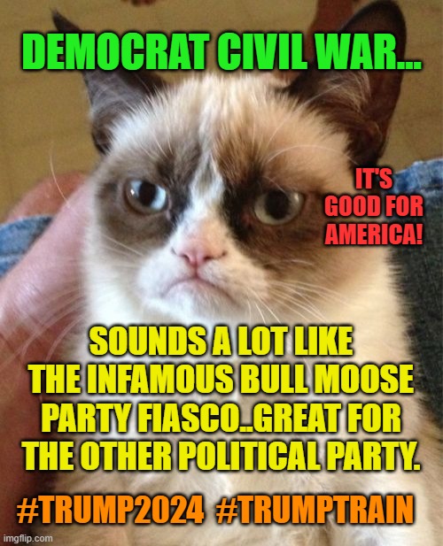 Grumpy Cat | DEMOCRAT CIVIL WAR... IT'S GOOD FOR AMERICA! SOUNDS A LOT LIKE THE INFAMOUS BULL MOOSE PARTY FIASCO..GREAT FOR THE OTHER POLITICAL PARTY. #TRUMP2024  #TRUMPTRAIN | image tagged in memes,grumpy cat | made w/ Imgflip meme maker