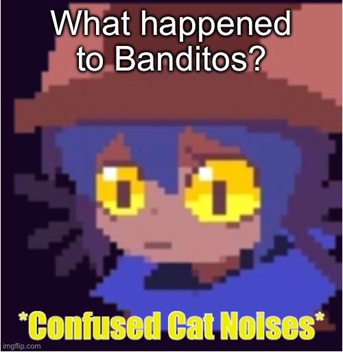 confused cat noises | What happened to Banditos? | image tagged in confused cat noises | made w/ Imgflip meme maker