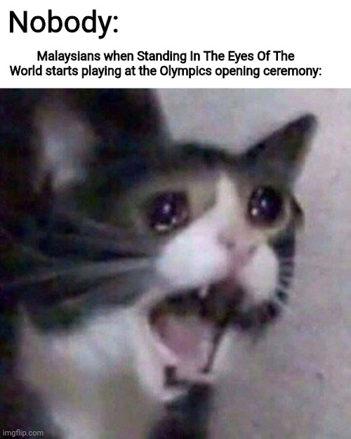 Kiniii Staaaaannnndiiiinnnnggggg in the eyes of the world, Hanyalah selangkah dari nyata (Btw I'm not Malaysian) | Nobody:; Malaysians when Standing In The Eyes Of The World starts playing at the Olympics opening ceremony: | image tagged in screaming cat meme,funny,olympics,malaysia,song | made w/ Imgflip meme maker