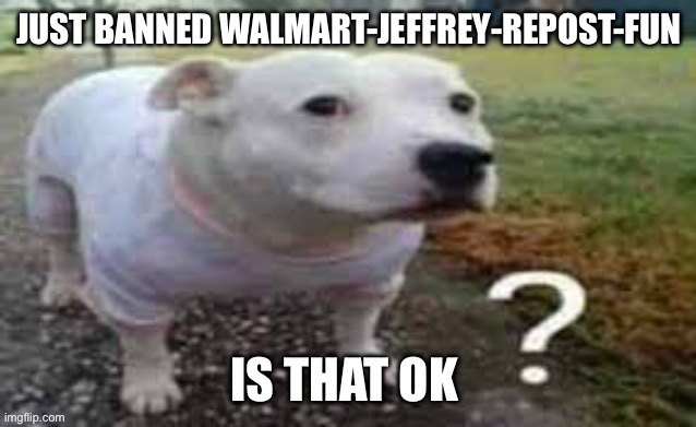 ? | JUST BANNED WALMART-JEFFREY-REPOST-FUN; IS THAT OK | image tagged in dog question mark | made w/ Imgflip meme maker