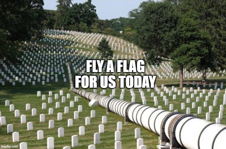 Remember those who tried to preserve our freedoms | FLY A FLAG FOR US TODAY | image tagged in arlington cemetary oil pipeline | made w/ Imgflip meme maker