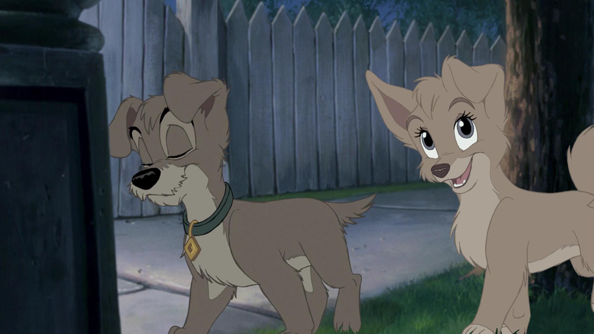 Lady And The Tramp 2 Blank Meme Template