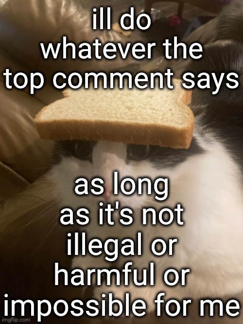 no pussying out this time | ill do whatever the top comment says; as long as it's not illegal or harmful or impossible for me | image tagged in bread cat | made w/ Imgflip meme maker