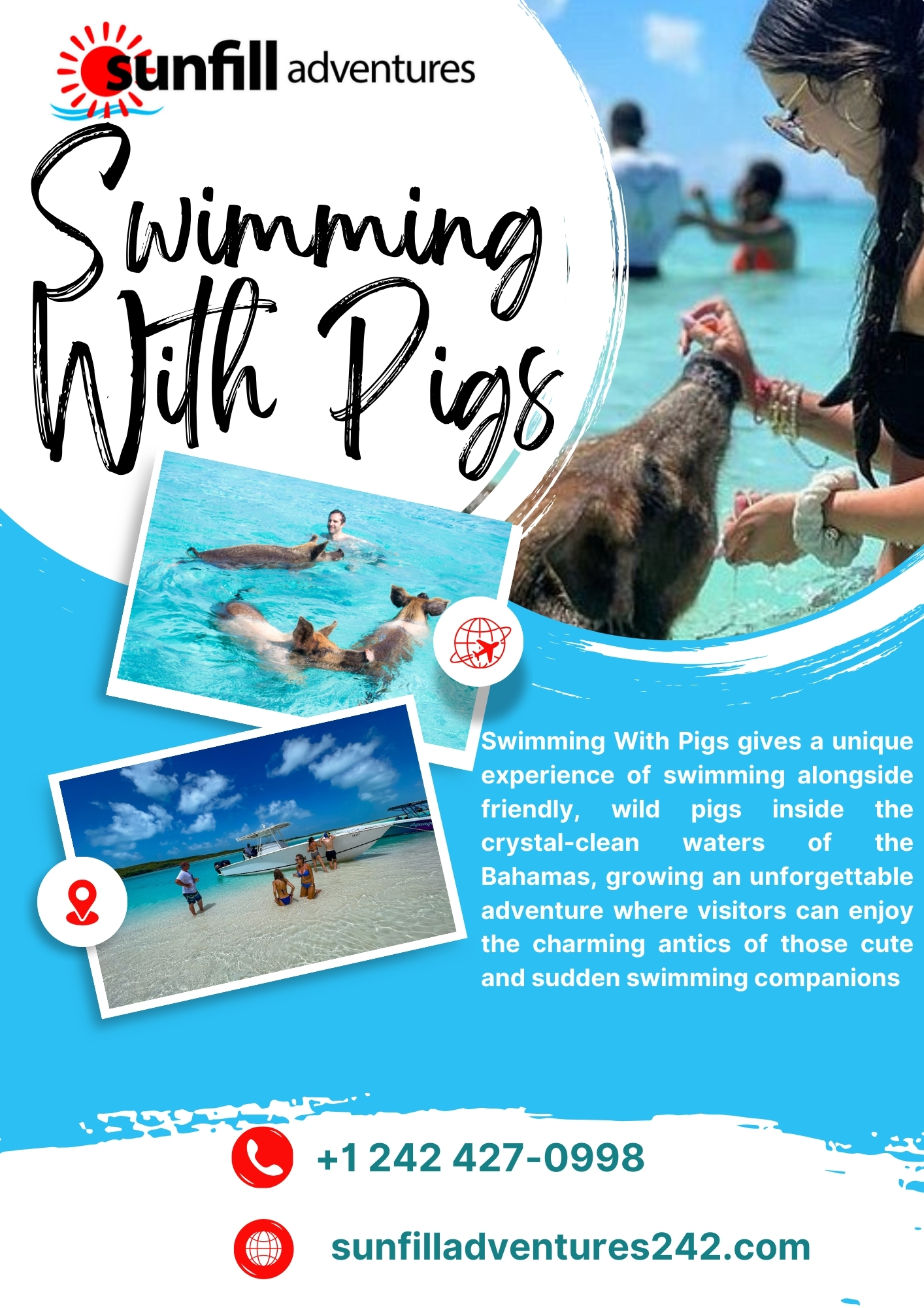 Swimming With Pigs Blank Meme Template