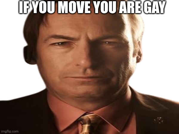 Dont move for 60 seconds | IF YOU MOVE YOU ARE GAY | image tagged in funny | made w/ Imgflip meme maker
