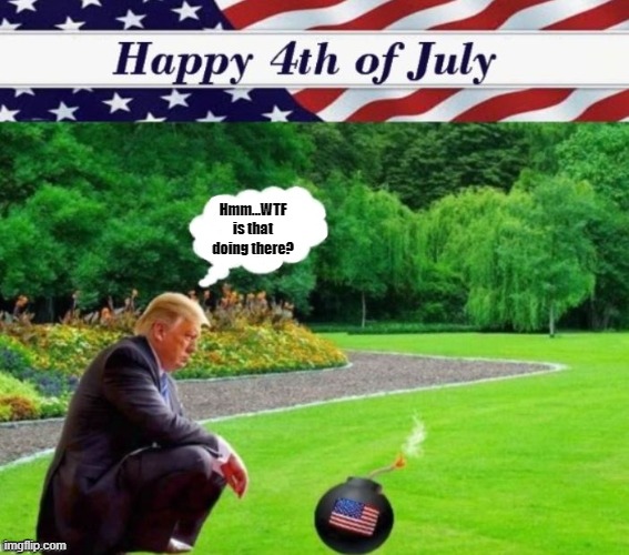 In a Perfect World | Hmm...WTF is that doing there? | image tagged in donald trump memes,4th of july,political meme,donald trump is an idiot | made w/ Imgflip meme maker