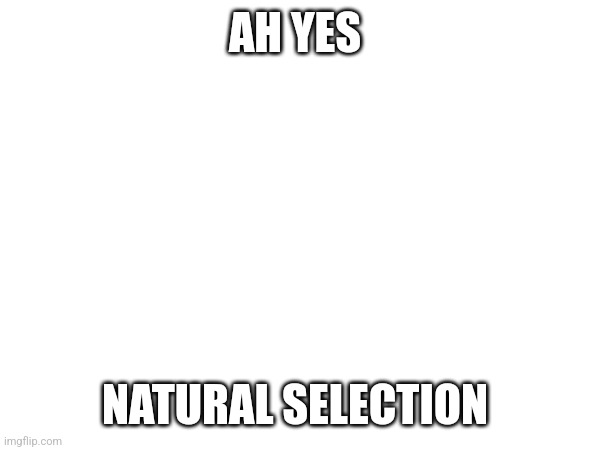 AH YES NATURAL SELECTION | made w/ Imgflip meme maker