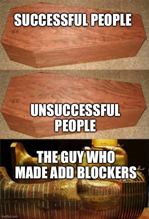 Salute the man who made the first add blocker | SUCCESSFUL PEOPLE; UNSUCCESSFUL PEOPLE; THE GUY WHO MADE ADD BLOCKERS | image tagged in golden coffin meme | made w/ Imgflip meme maker