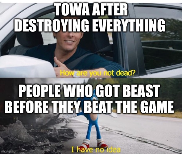 sonic how are you not dead | TOWA AFTER DESTROYING EVERYTHING; PEOPLE WHO GOT BEAST BEFORE THEY BEAT THE GAME | image tagged in sonic how are you not dead | made w/ Imgflip meme maker