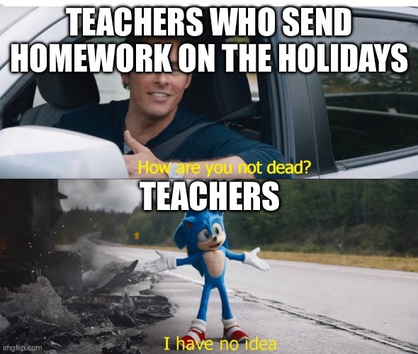 sonic how are you not dead | TEACHERS WHO SEND HOMEWORK ON THE HOLIDAYS; TEACHERS | image tagged in sonic how are you not dead | made w/ Imgflip meme maker