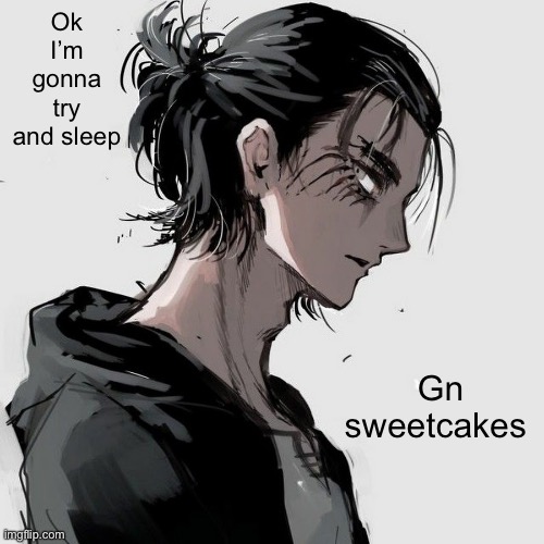 Have pleasant dreams | Ok I’m gonna try and sleep; Gn sweetcakes | image tagged in eren | made w/ Imgflip meme maker