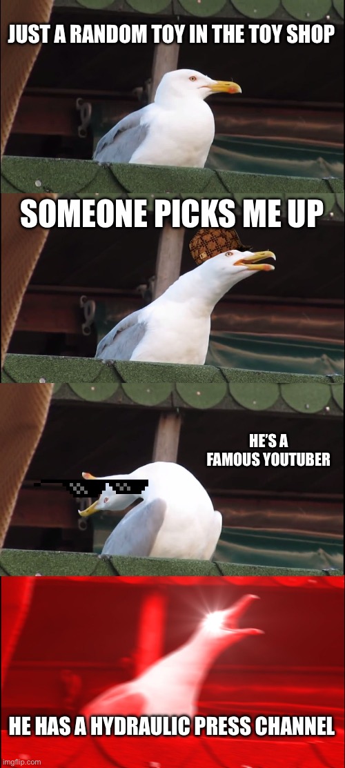 Inhaling Seagull | JUST A RANDOM TOY IN THE TOY SHOP; SOMEONE PICKS ME UP; HE’S A FAMOUS YOUTUBER; HE HAS A HYDRAULIC PRESS CHANNEL | image tagged in memes,inhaling seagull | made w/ Imgflip meme maker