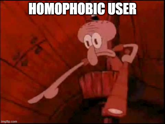 Squidward pointing | HOMOPHOBIC USER | image tagged in squidward pointing | made w/ Imgflip meme maker