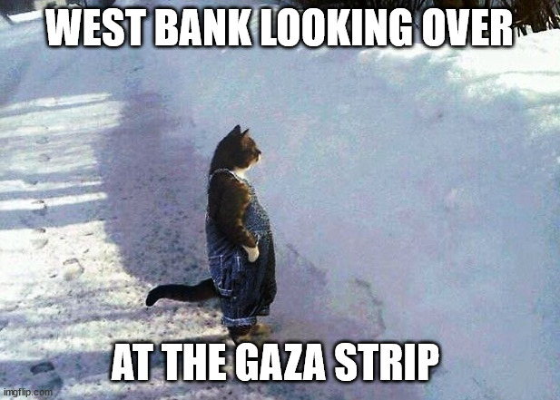 west bank looking over at the gaza strip | WEST BANK LOOKING OVER; AT THE GAZA STRIP | image tagged in cat snow | made w/ Imgflip meme maker