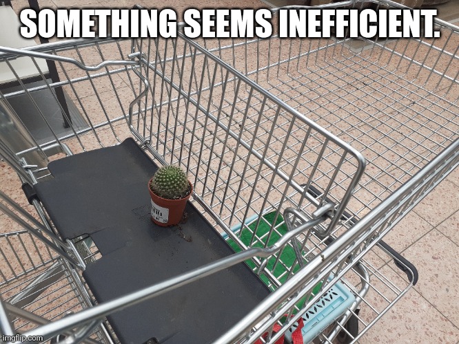 Some inefficiencies | SOMETHING SEEMS INEFFICIENT. | image tagged in cactus,funny | made w/ Imgflip meme maker