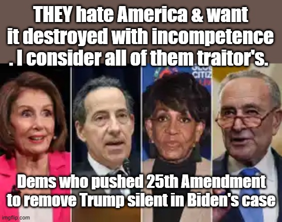 I'd like all thier finances and deals to go under the microscope,like Trumps has been. | THEY hate America & want it destroyed with incompetence . I consider all of them traitor's. Dems who pushed 25th Amendment to remove Trump silent in Biden's case | made w/ Imgflip meme maker