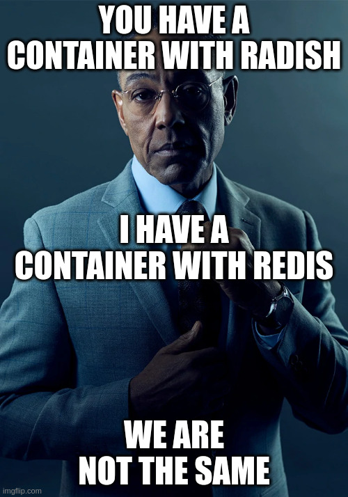 We are not the same | YOU HAVE A CONTAINER WITH RADISH; I HAVE A CONTAINER WITH REDIS; WE ARE NOT THE SAME | image tagged in we are not the same | made w/ Imgflip meme maker