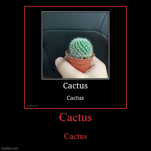 Cactus | Cactus | image tagged in funny,demotivationals | made w/ Imgflip demotivational maker