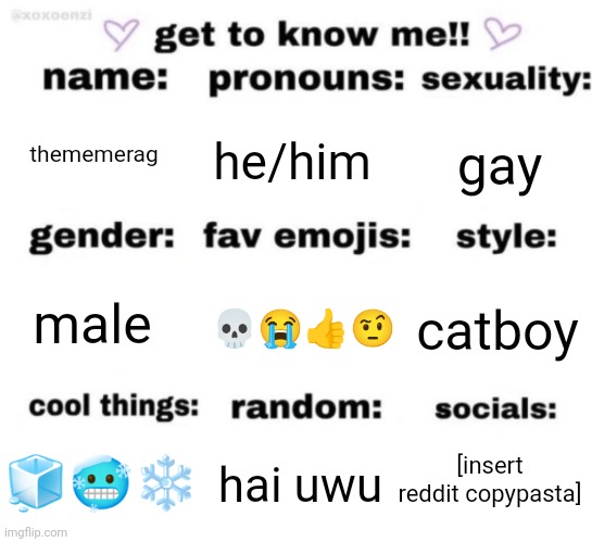 get to know me but better | thememerag; he/him; gay; 💀😭👍🤨; catboy; male; [insert reddit copypasta]; hai uwu; 🧊🥶❄️ | image tagged in get to know me but better | made w/ Imgflip meme maker