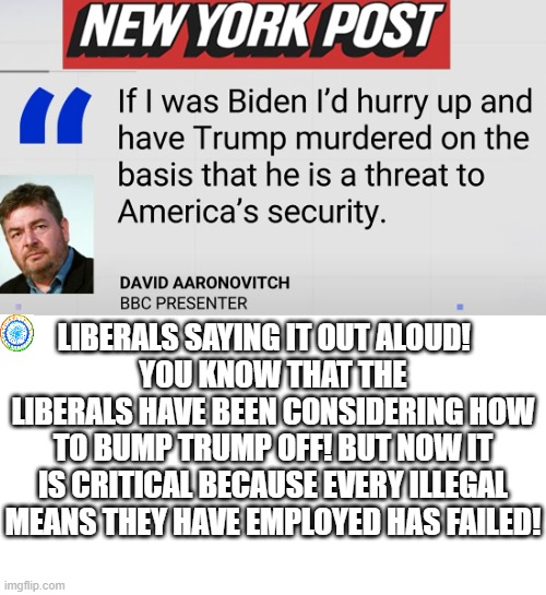 politics | LIBERALS SAYING IT OUT ALOUD!   
YOU KNOW THAT THE LIBERALS HAVE BEEN CONSIDERING HOW TO BUMP TRUMP OFF! BUT NOW IT IS CRITICAL BECAUSE EVERY ILLEGAL MEANS THEY HAVE EMPLOYED HAS FAILED! | image tagged in political meme | made w/ Imgflip meme maker